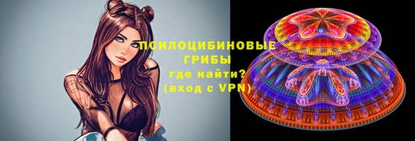 спиды Кедровый