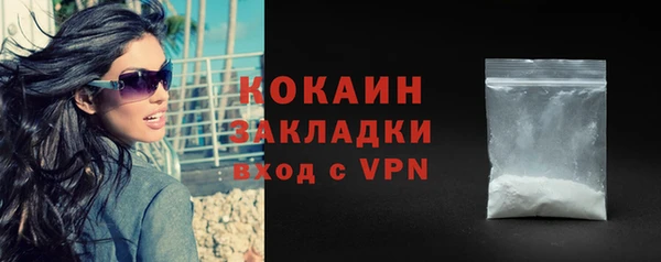дживик Сосновый Бор